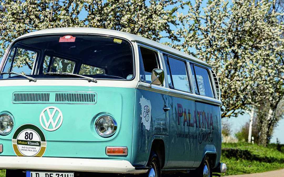 Zur Mandelblüte mit dem Bulli