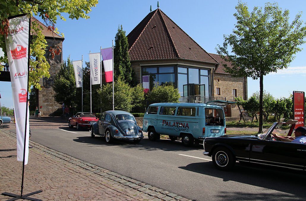 Der Pfälzer Bulli am Weintor.
