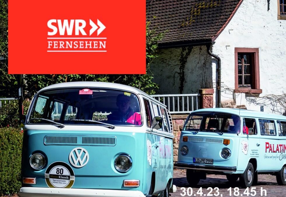 Pfälzer Bullis im TV